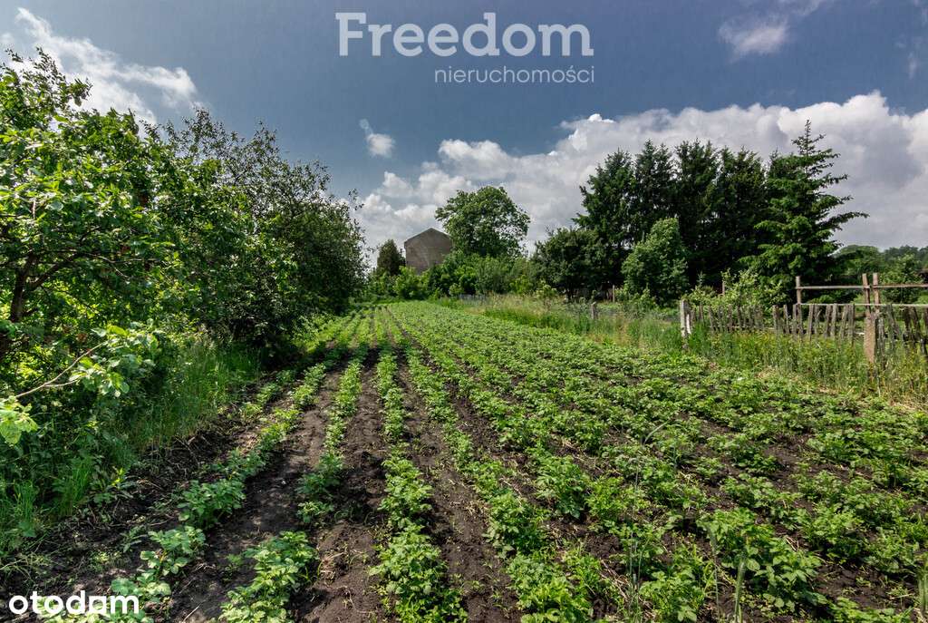 Na sprzedaż drewniany dom w Boćkach. - Pełny obrazek: 5/18