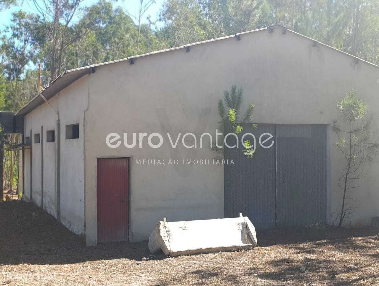 Pavilhão Amplo destinado a Agricultura - Grande imagem: 1/19