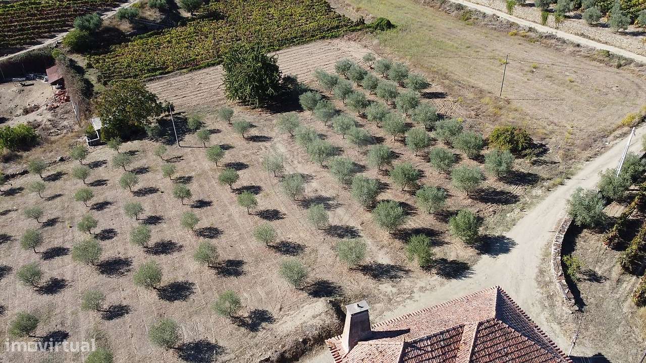 Terreno  para venda - Grande imagem: 5/14