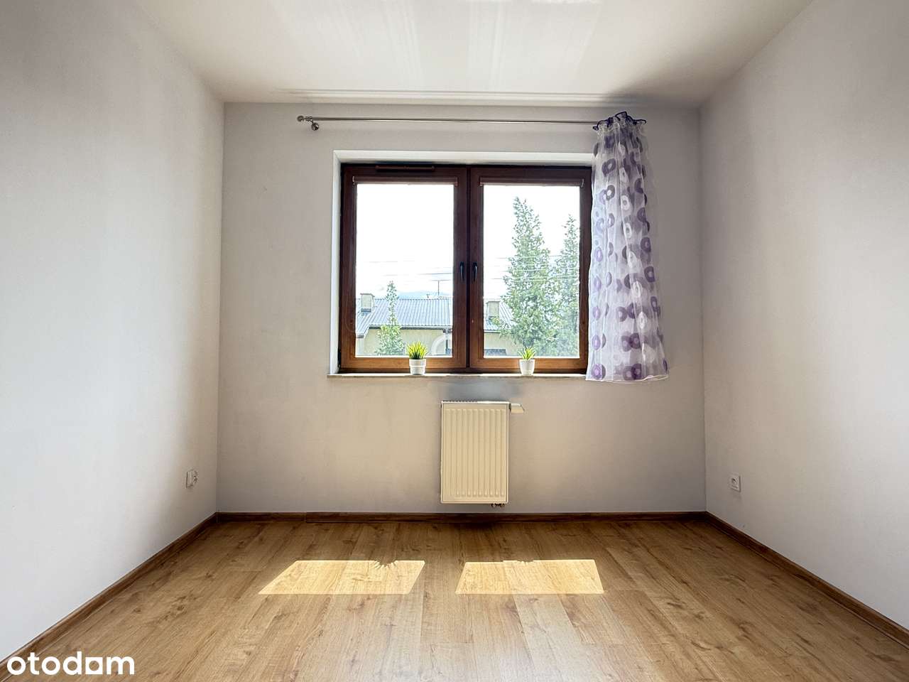 Duży Taras, Maślice przy lesie i zieleni-7