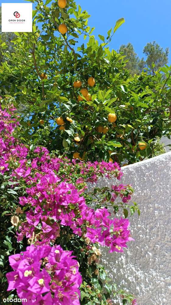 Śródziemnomorska willa marzeń z widokiem na góry-3