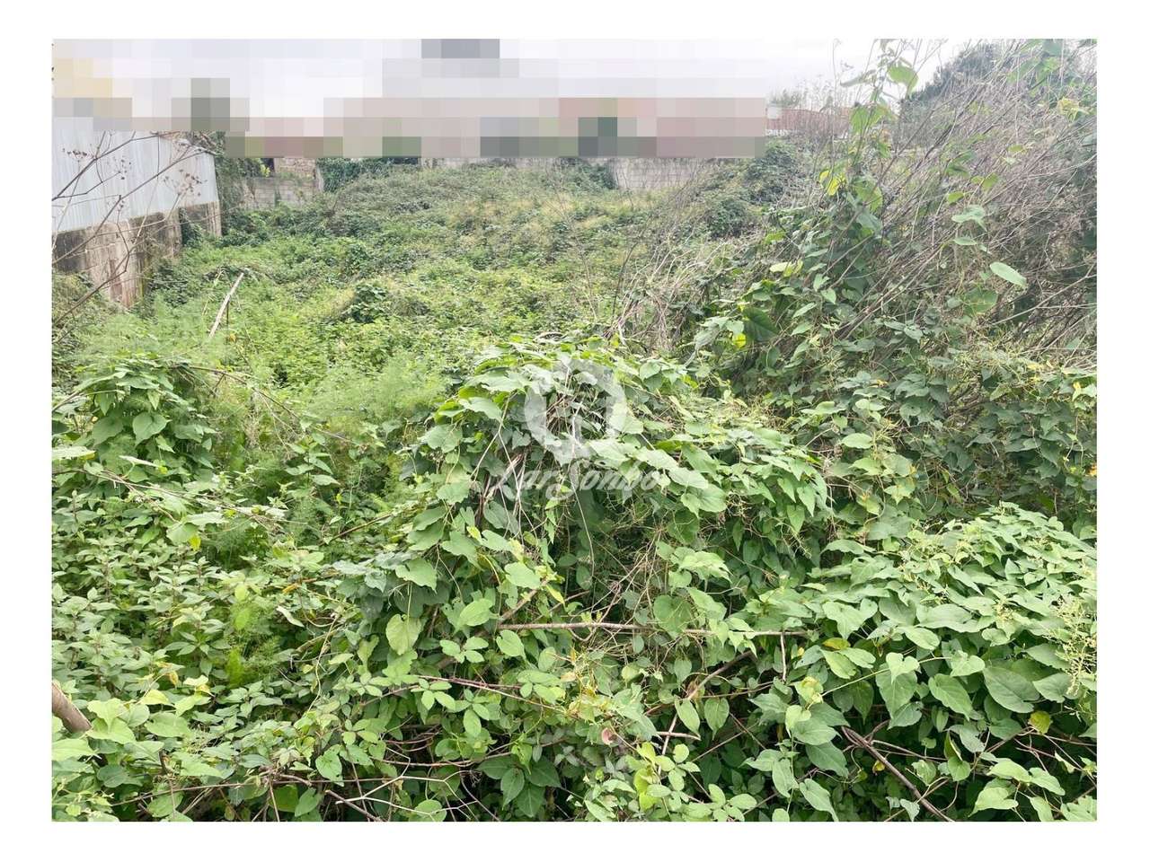 Terreno para construção de moradia c/476m2 em São Romão, Trofa - Grande imagem: 4/4