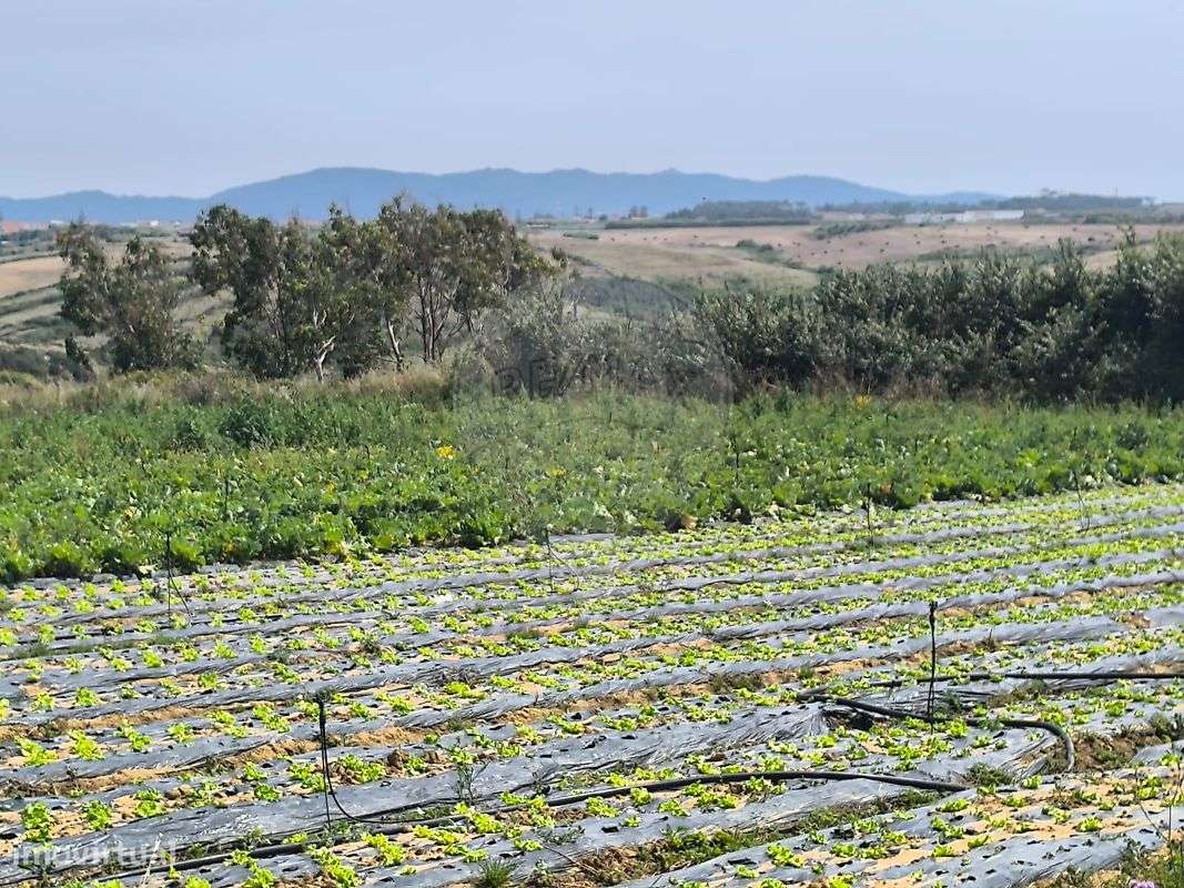 Terreno  para venda-8