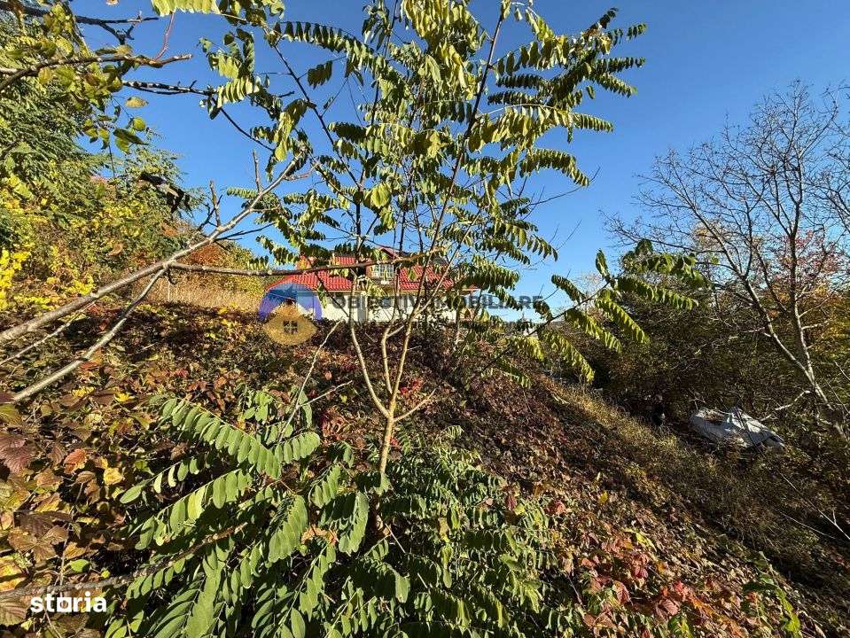 Teren intravilan 1543 mp – zona Darmanesti-6