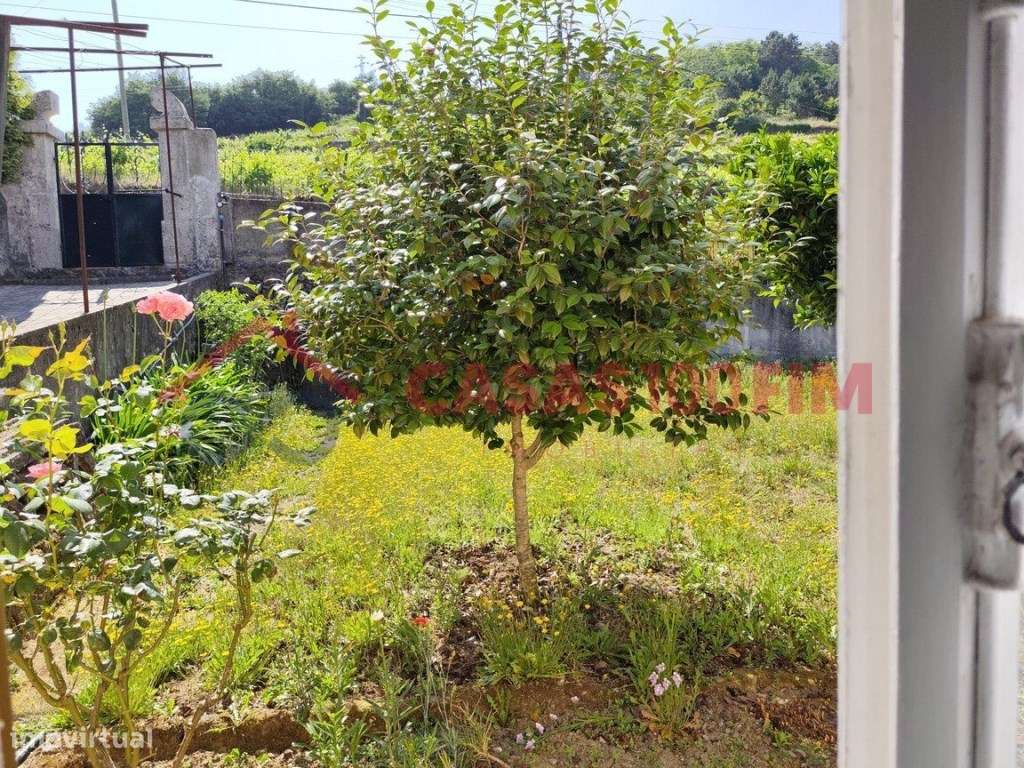 5 Moradias + Terreno em Loureiro - Peso da Régua-7
