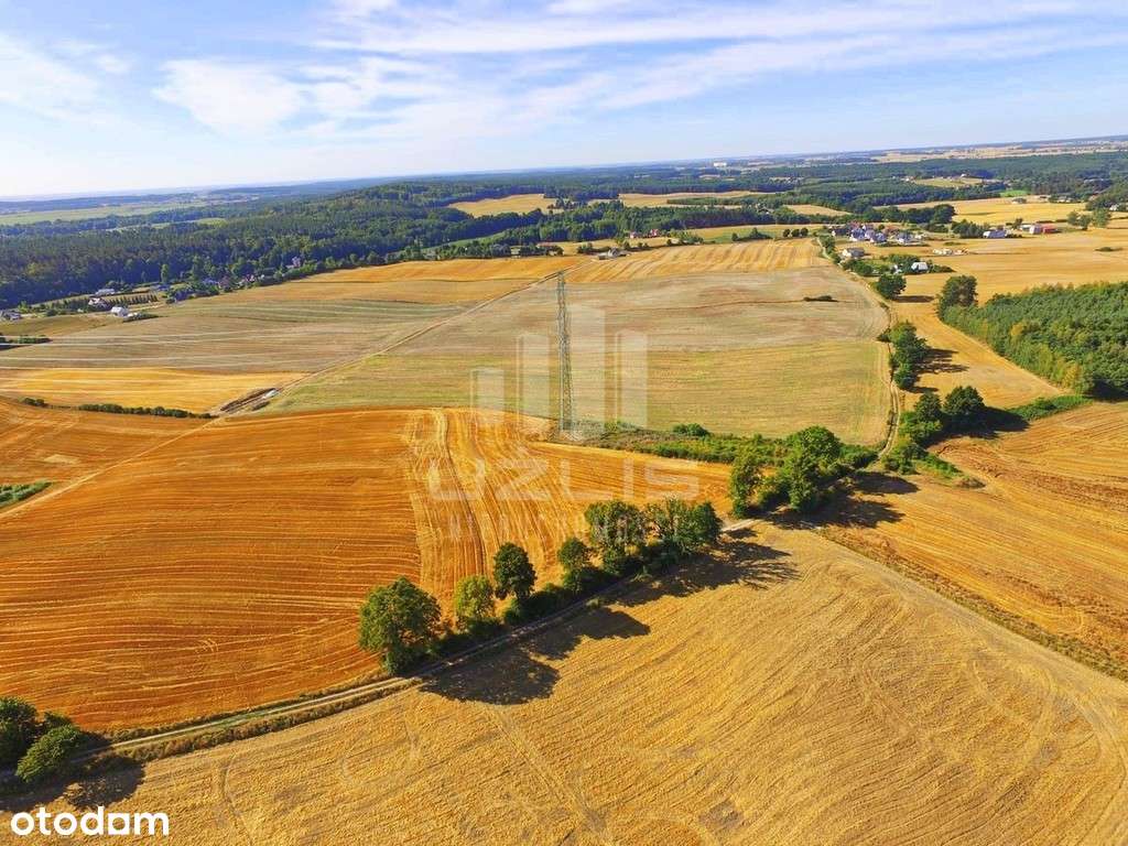 Działka z wydanymi warunkami zabudowy - Pełny obrazek: 4/14