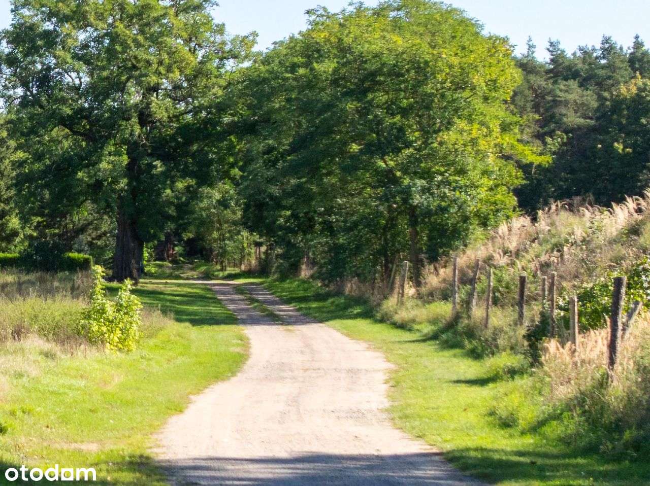 Działka 7,2 ha- przyroda i potencjał inwestycyjny-16