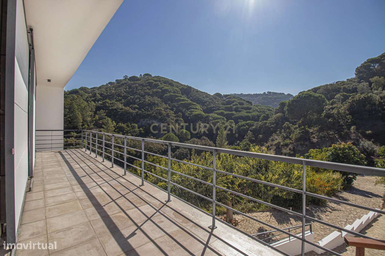 Quinta na Arrábida com moradia T5 de 364 m2 em lote de 13 520 m2 Onde-33