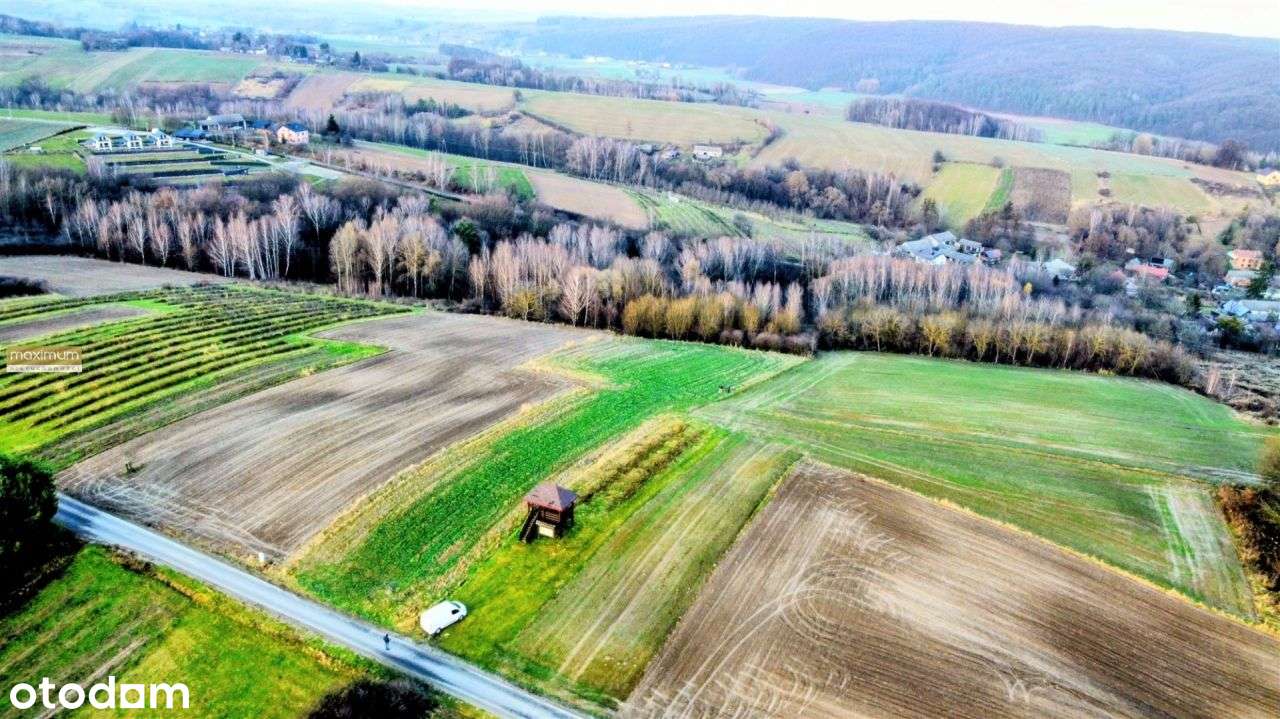 Działka budowlana na wzgórzu |16 i 77 ar|Roztocze-8