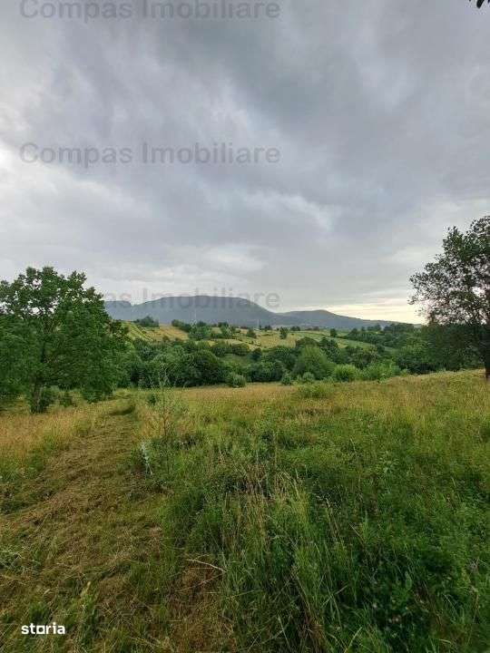 Teren Excepțional în Viisoara – Priveliște Panoramică - Imagine principală: 3/5