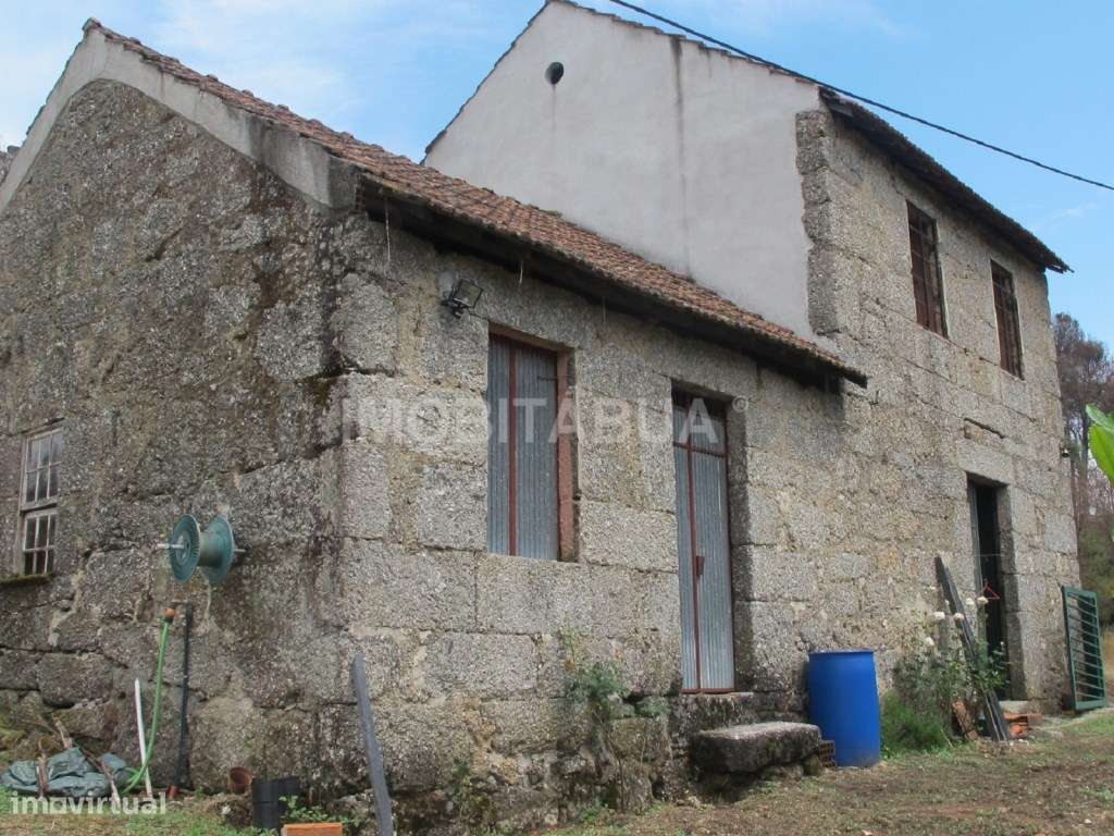 Quinta de Mirtilos com mais de 3 Hectares, localizada perto de Tondela-11