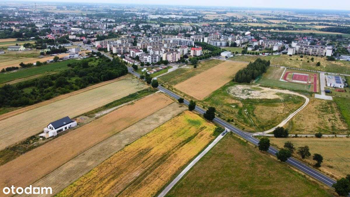 ➤Działka 3668m2 ➤ Wieluń ➤ Mn/u - Pełny obrazek: 5/6