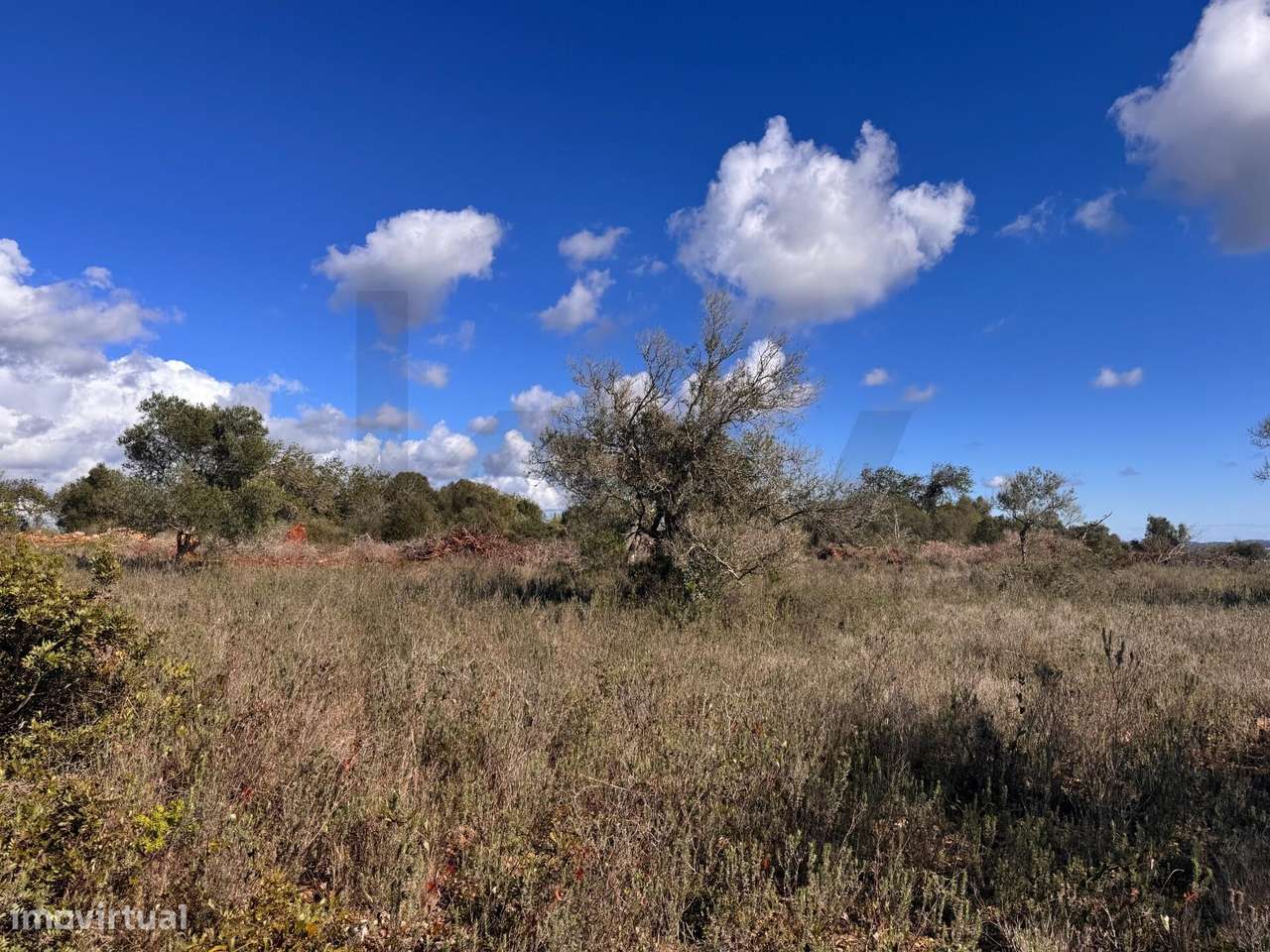 Terreno Rústico no Cerro das Taipas, São Bartolomeu de Messines com 5. - Grande imagem: 5/16