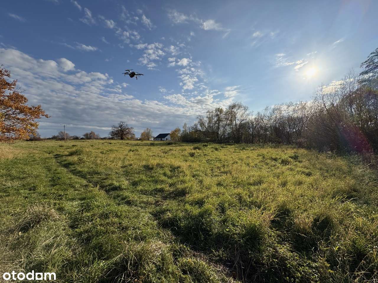 Działka budowlana przy głównej drodze Pieszyce | Prywatność-9