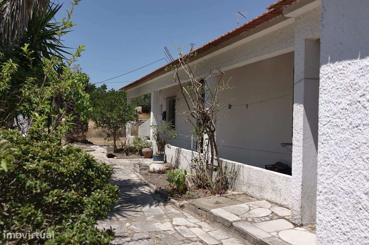 Quinta da Charneca Ribatejana - Zebro / Coruche-5