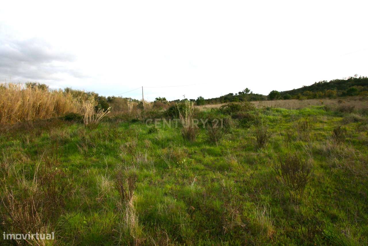 Terreno rustico de 38.000 m2 excellente para projeto agrícola - Grande imagem: 5/15