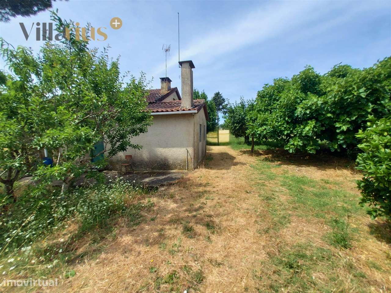 Moradia com terreno em Tomar — 13.800 m² e pomar - Grande imagem: 5/39