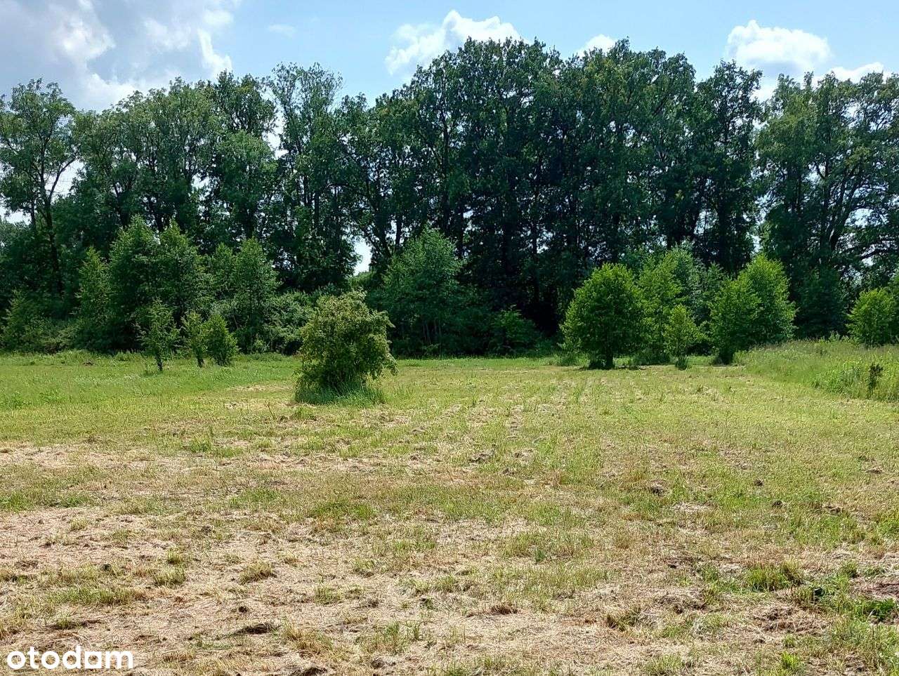 Brzezinka Średzka 1,391 ha przemysłowa, usługi 1.350 000 zł. - Pełny obrazek: 4/4