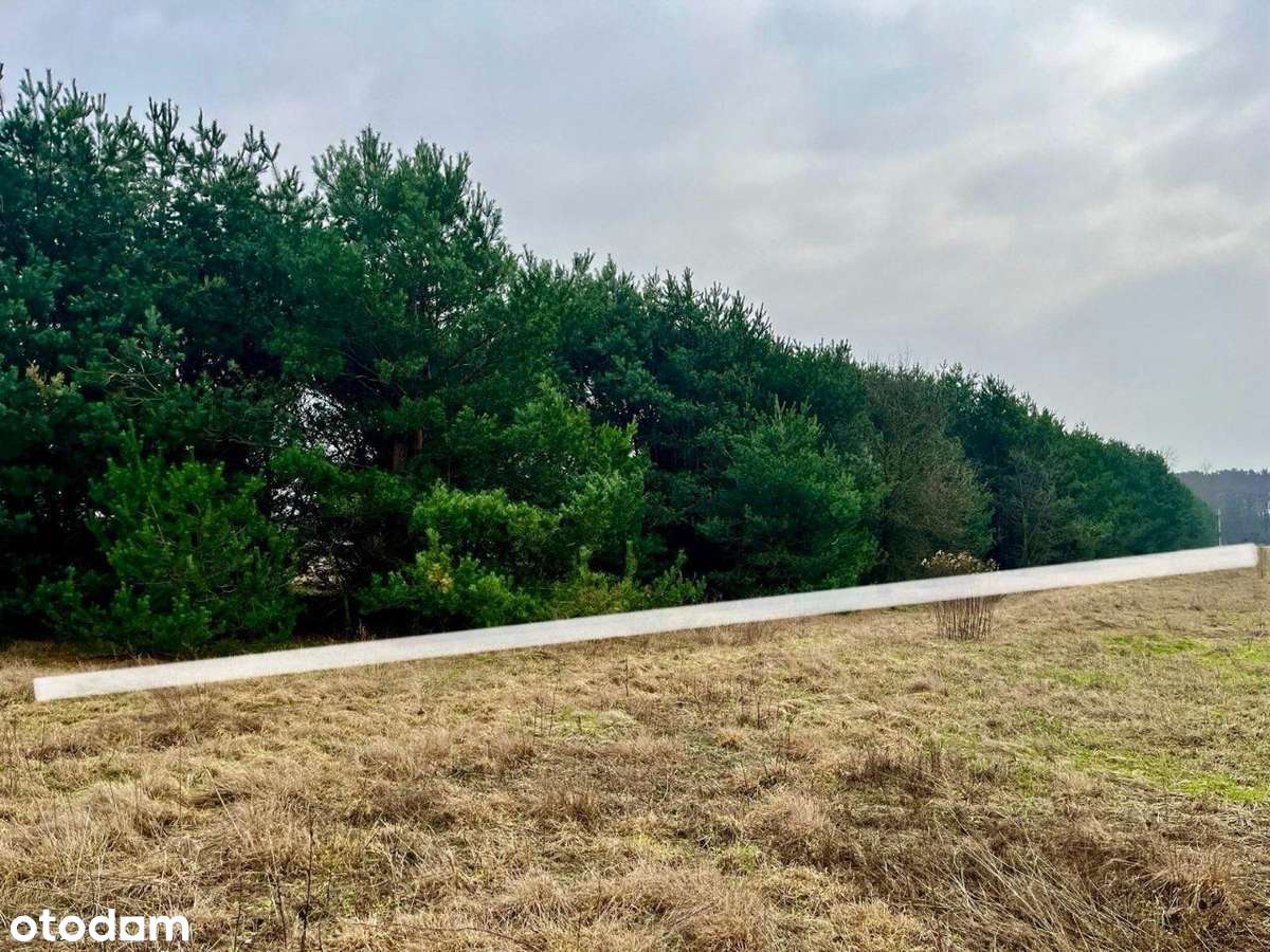 Atrakcyjna działka nad Bugiem, blisko Warszawy. - Pełny obrazek: 4/7