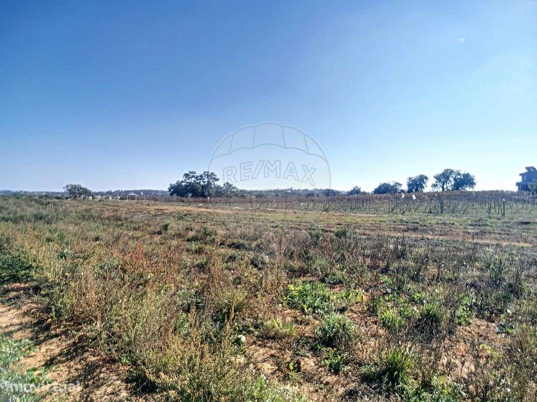 Quinta  para venda-34