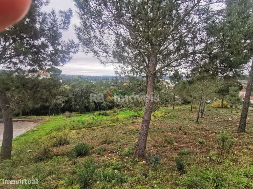 Lote de terreno urbano com 1098 m2 - Grande imagem: 3/6