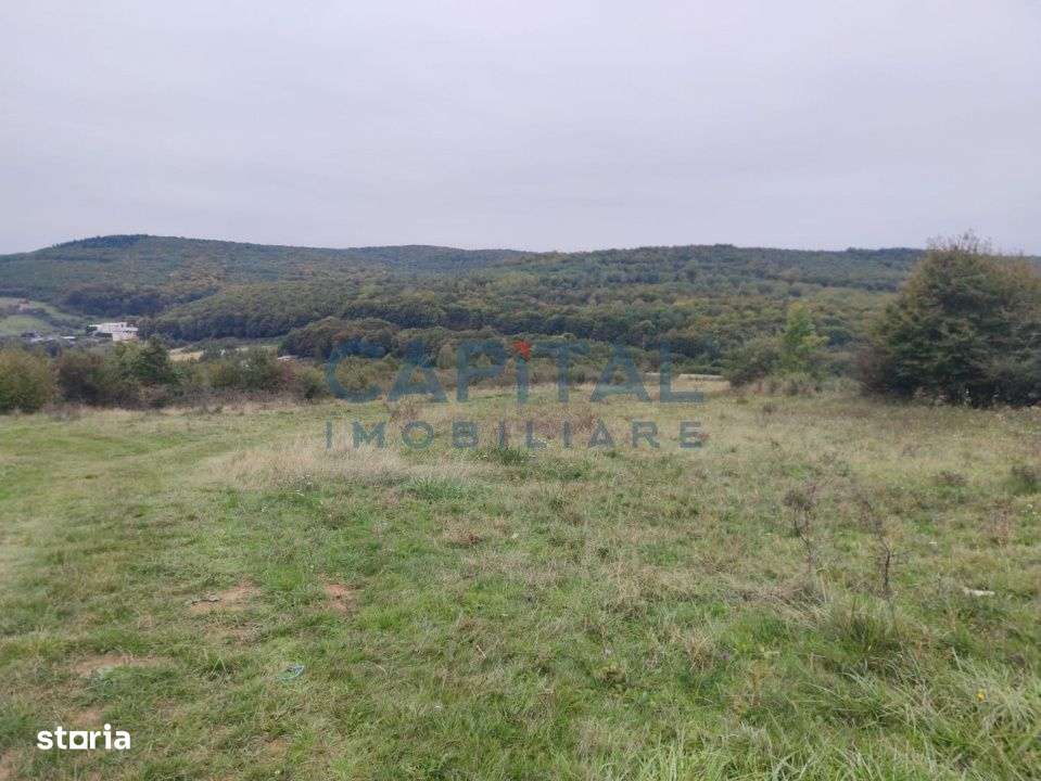 Fara comision! Teren 1000 mp, front 25 ml, PUZ in lucru, zona buna, Fe - Imagine principală: 5/6