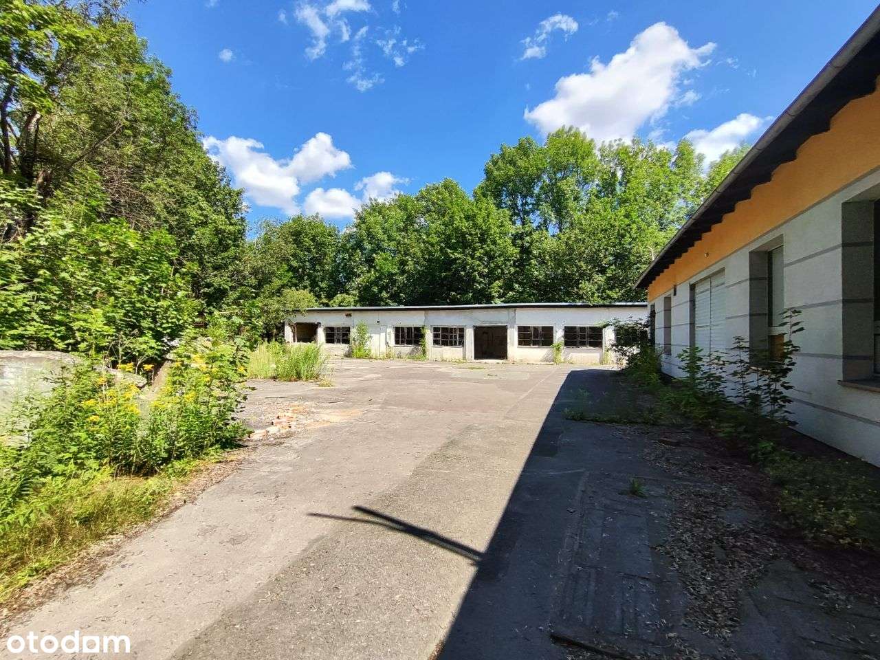 Sprzedaż Nieruchomości - Jelenia Góra-11