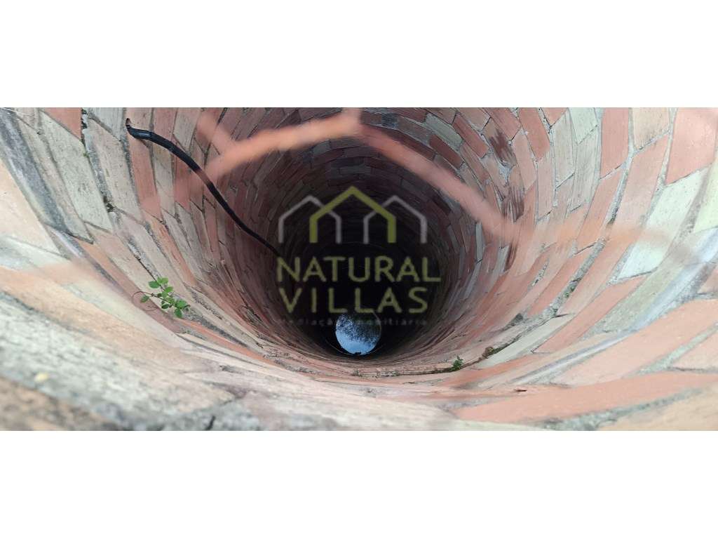 Terreno Rústico com Vista Mar em Alcaria Cova, Estoi - Grande imagem: 5/6