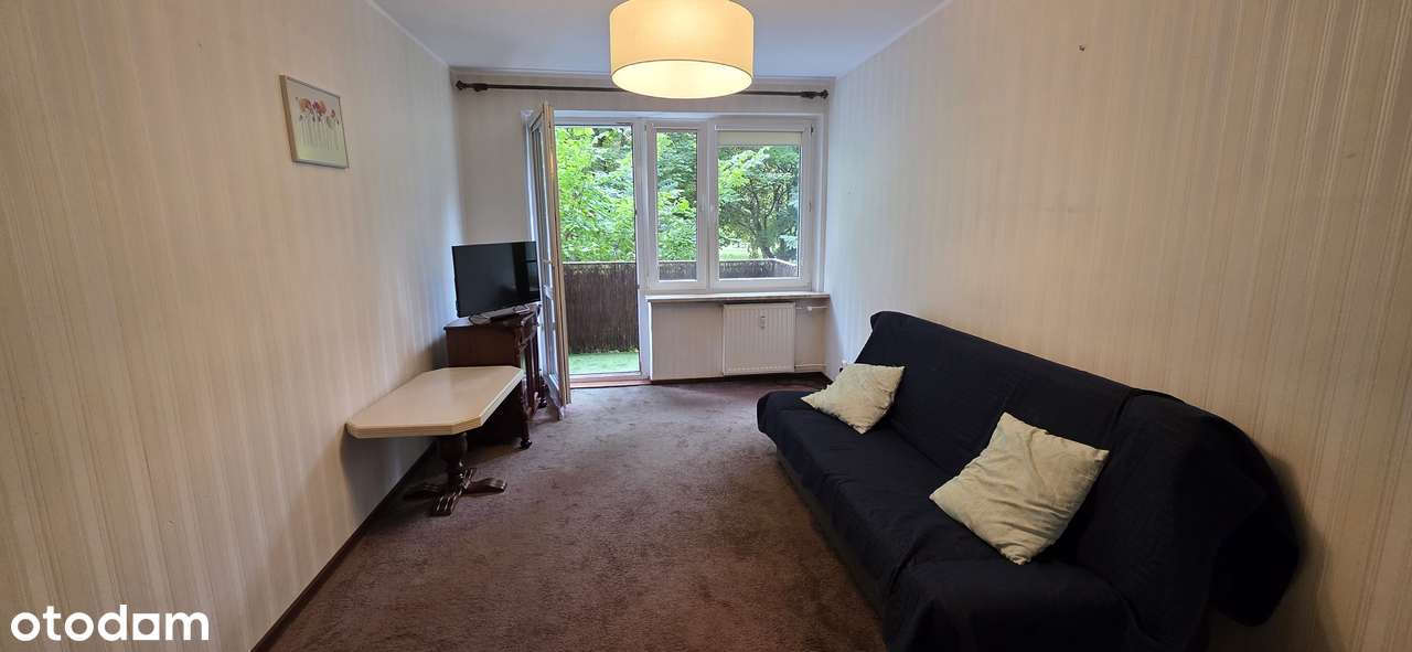 Przestronne 4-pok, Winogrady,-3