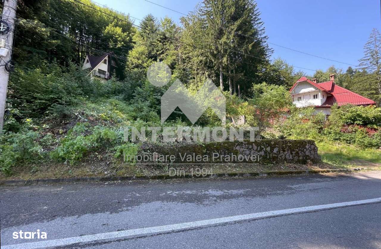 Teren Sinaia, aproape de pădure si centrul orasului. - Imagine principală: 4/8