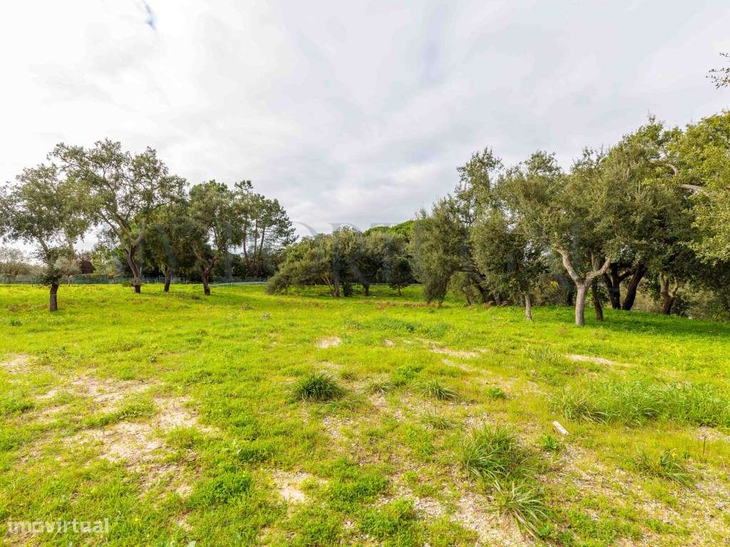 'Casa do Bosque': Terreno Urbano de 1 Hectare em Azeitão - Onde o L...-18