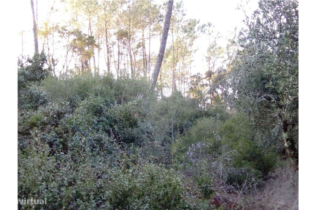 Terreno  para venda - Grande imagem: 5/11