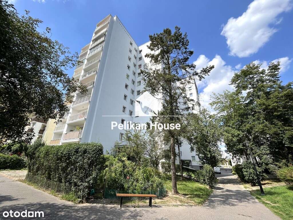 Dwa pokoje widna kuchnia zielona okolica - Pełny obrazek: 3/20