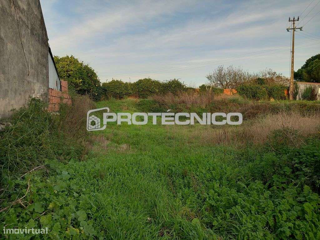 Terreno p/ Moradia Isolada – Aradas - Grande imagem: 5/6