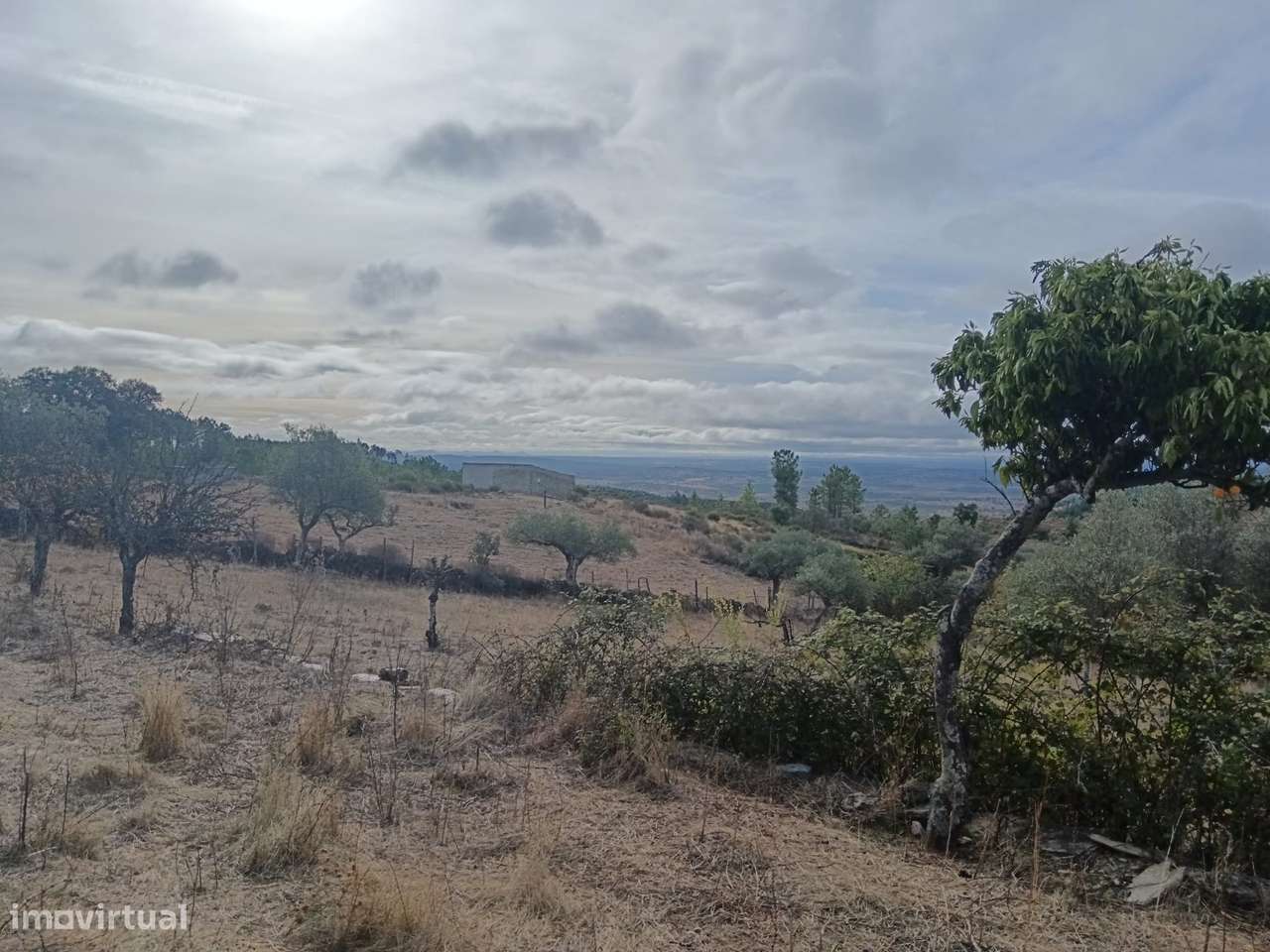 Quintinha - Grande imagem: 4/22