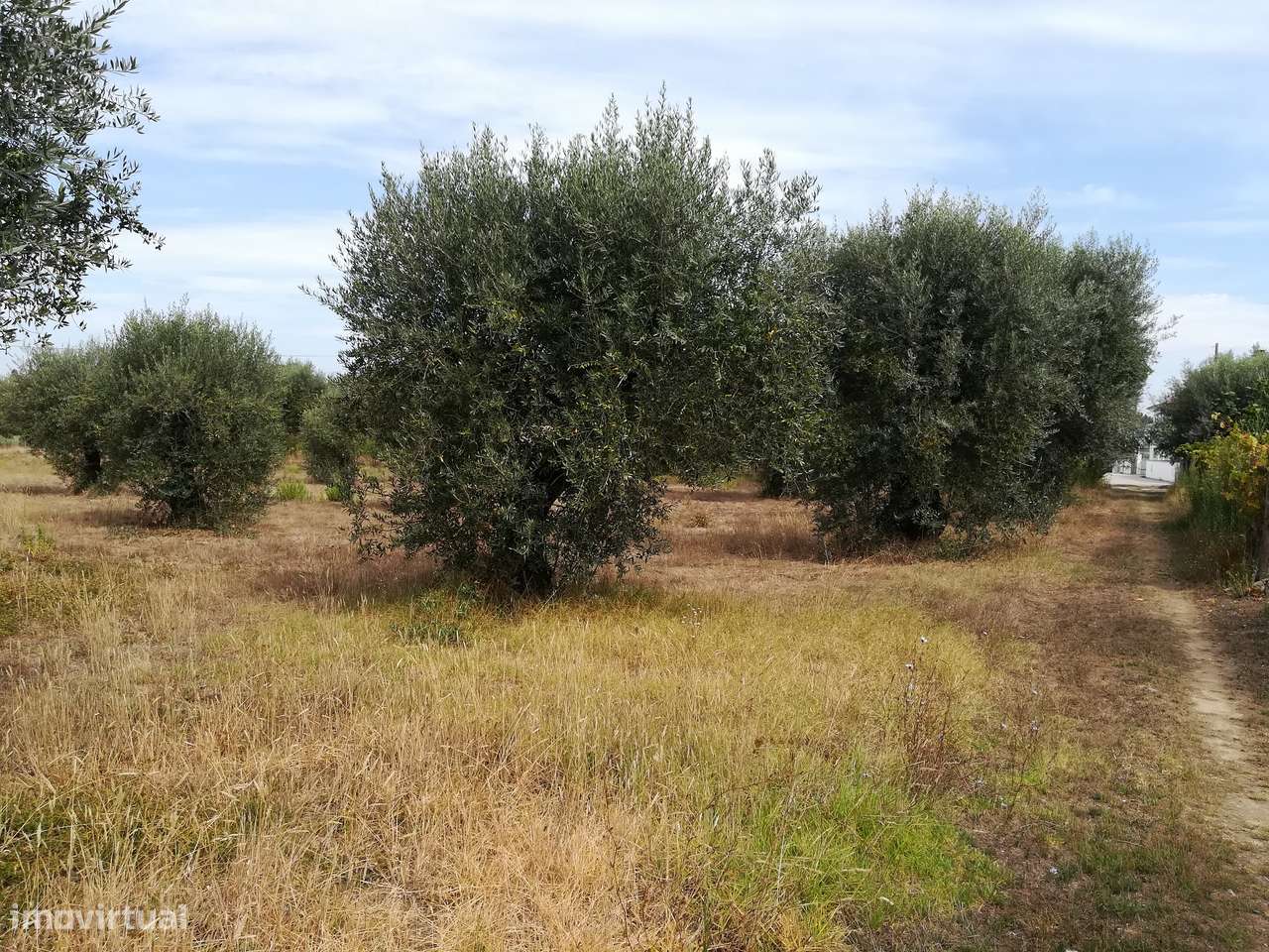 Terreno  Travasso Urbanizável, parcialmente no PDM Mealhada - Grande imagem: 4/5