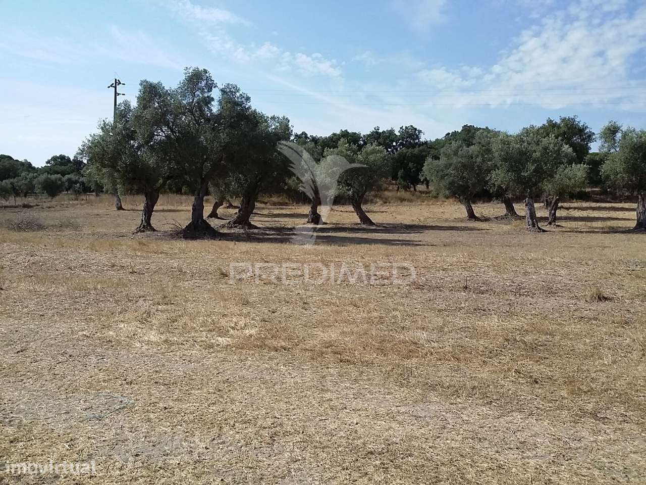 Propriedade -Terreno Rustico  em Vale Sobrigo - Grande imagem: 2/6