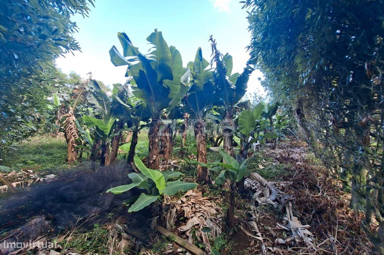 Terreno Rústico com Potencial Urbanizável – Capelas, Ponta Delgada - Grande imagem: 5/15