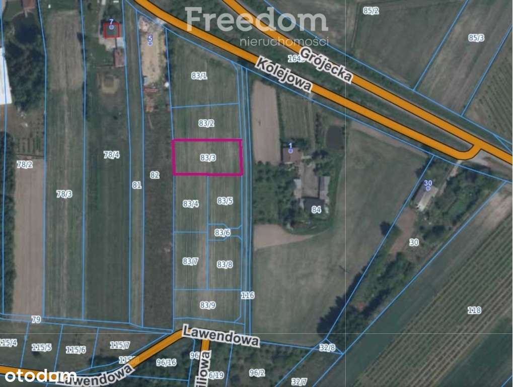 Sosnowica k/Mszczonowa - działki budowlane - Pełny obrazek: 4/4