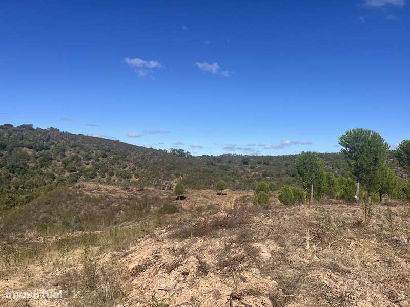 Herdade com 48ha de Natureza c/ Ruína de 53 m² – Ideal Projetos Rurais-14