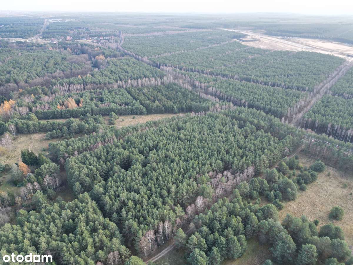 Działka na sprzedaż – Małe Jarki, koło Cierpic, niedaleko Torunia-2