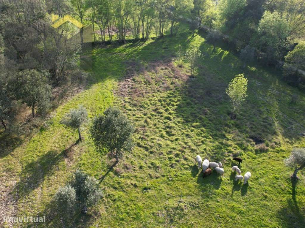 Refúgio Natural em Aldeia de Águas - Penamacor - Grande imagem: 5/7