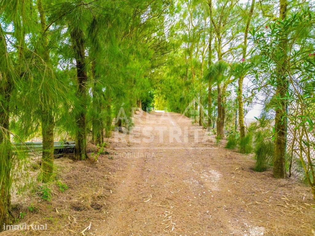 QUINTA COM MORADIA - Sesimbra - Grande imagem: 4/31