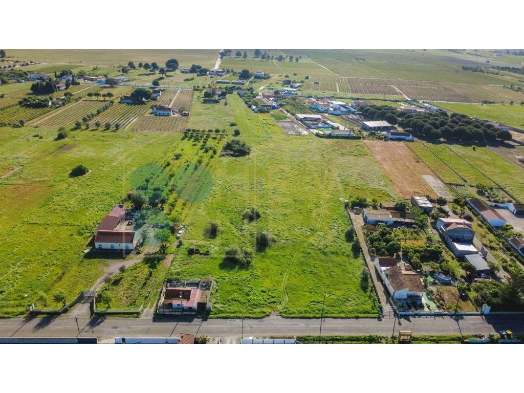 Construa duas casas num terreno único de 12.900m² em Arraiados-8
