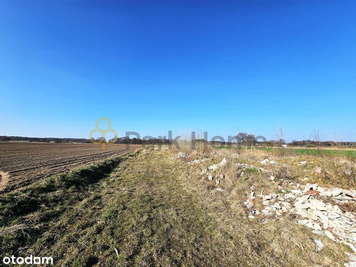 Działka pod usługi / handel / Śrem - Kawcze - Pełny obrazek: 5/9