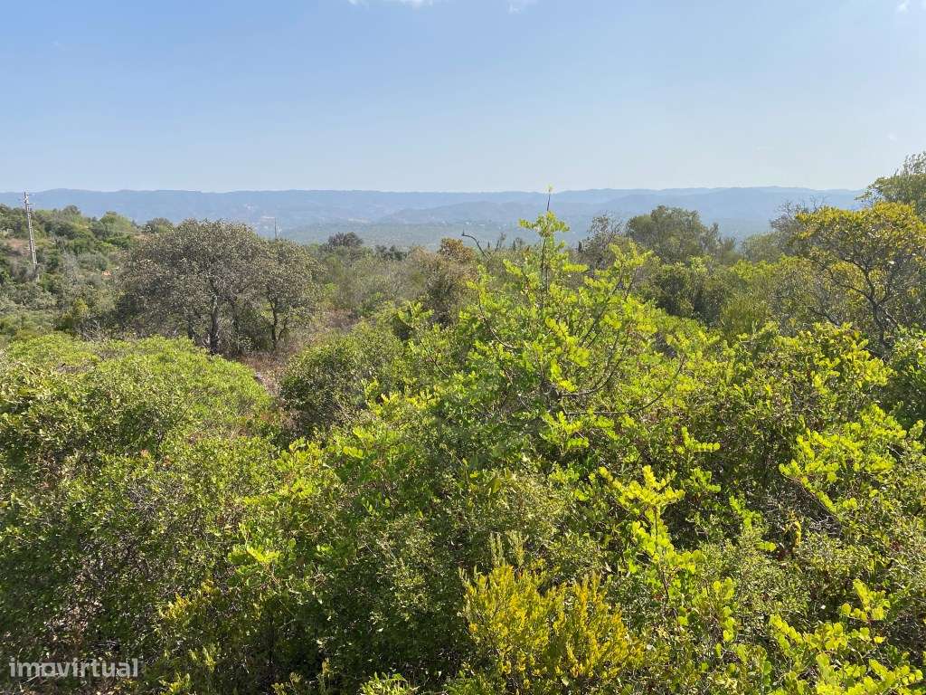 Lote de Terreno Rústico no Serro dos Passarinhos, Loulé, Algarve - Grande imagem: 5/20