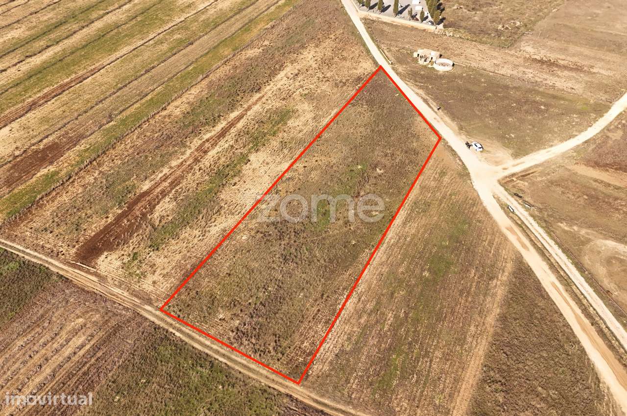 Terreno em Tunes - Grande imagem: 5/15