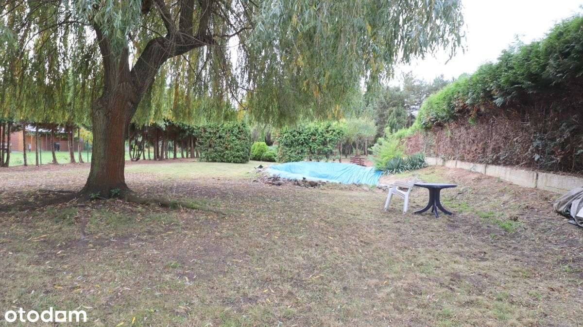 Wolnostojący dom z dużą działką-6