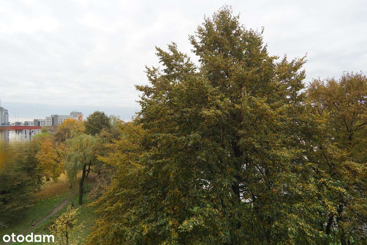 Mieszkanie 300m od Galerii Rzeszów-4