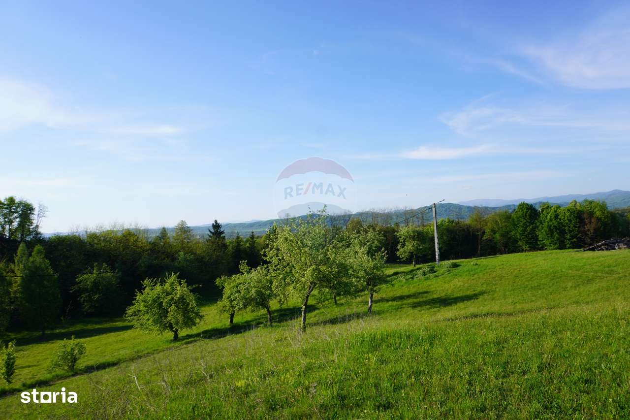 Teren 38,592mp Sighetu Marmatiei / Strada Mocăniței - Imagine principală: 2/20